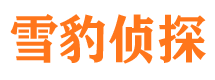 河间侦探公司